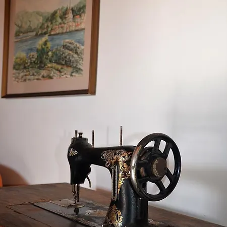 Apartman Dara Rogoznica (Sibenik-Knin)